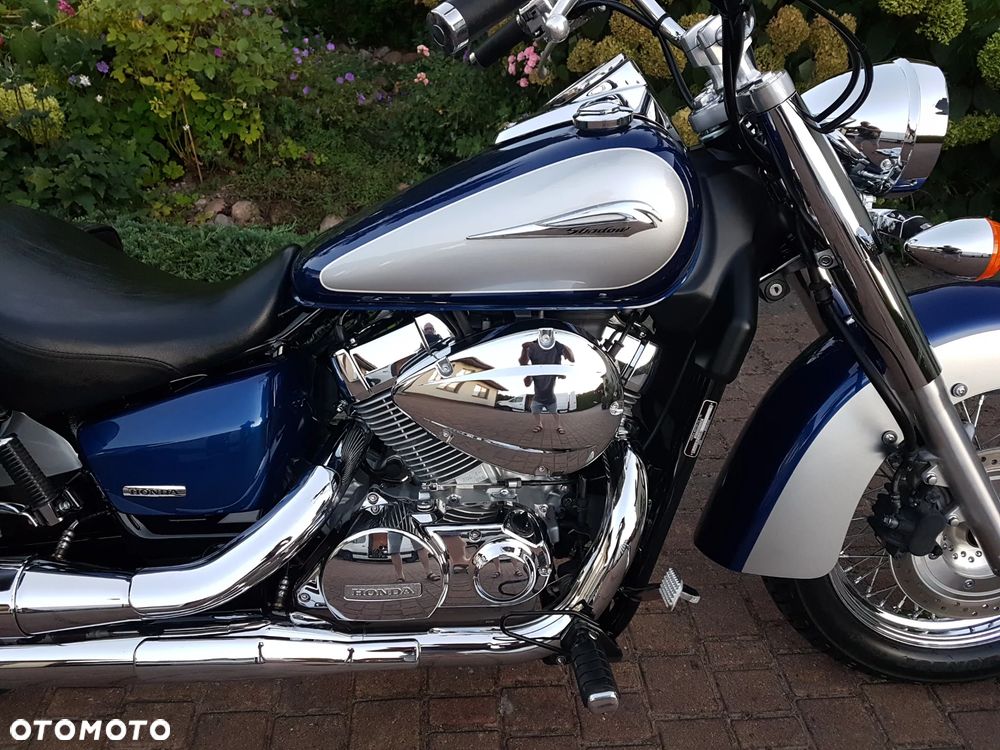 Honda Shadow - 3