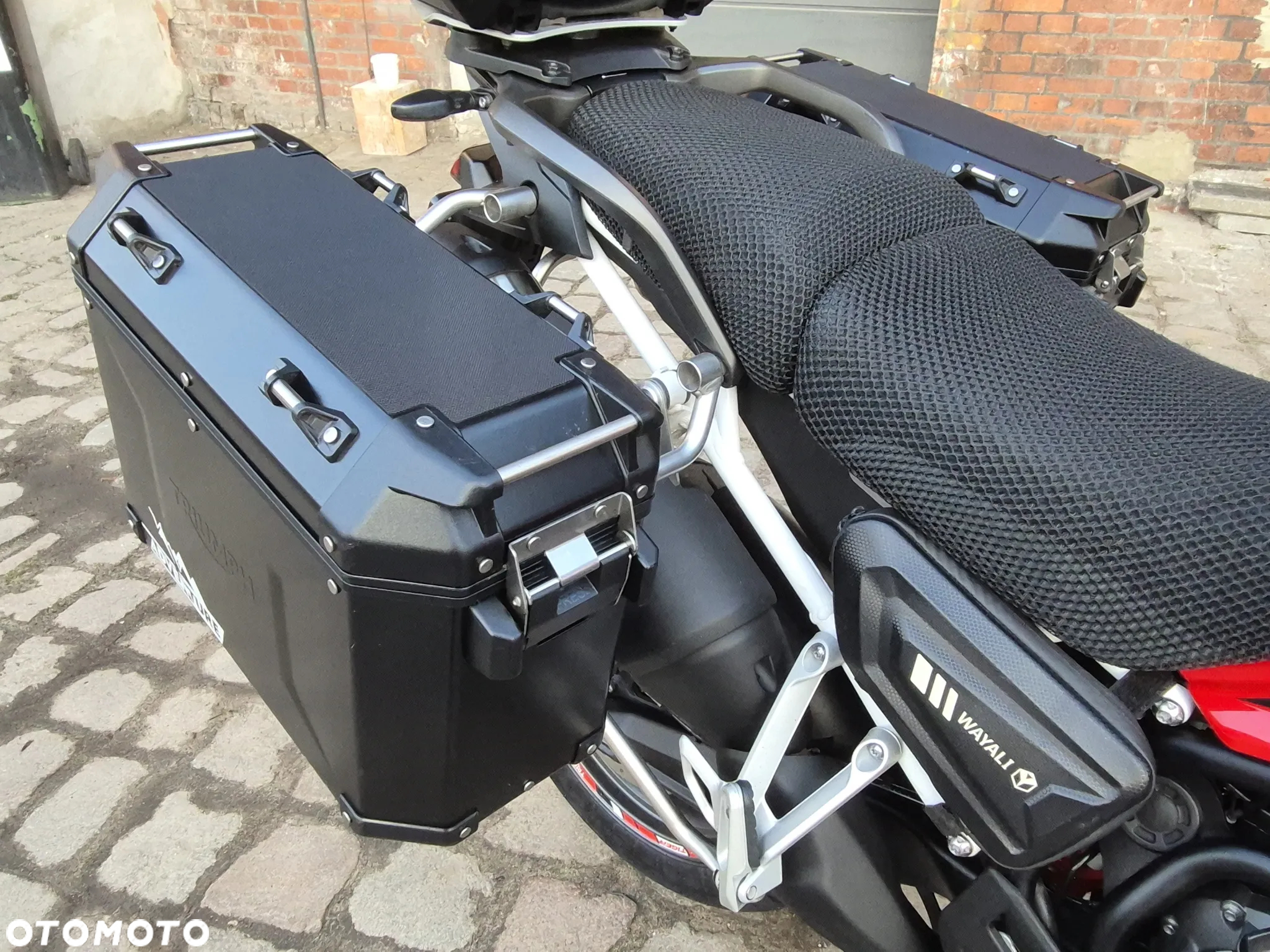 Triumph Tiger - 14