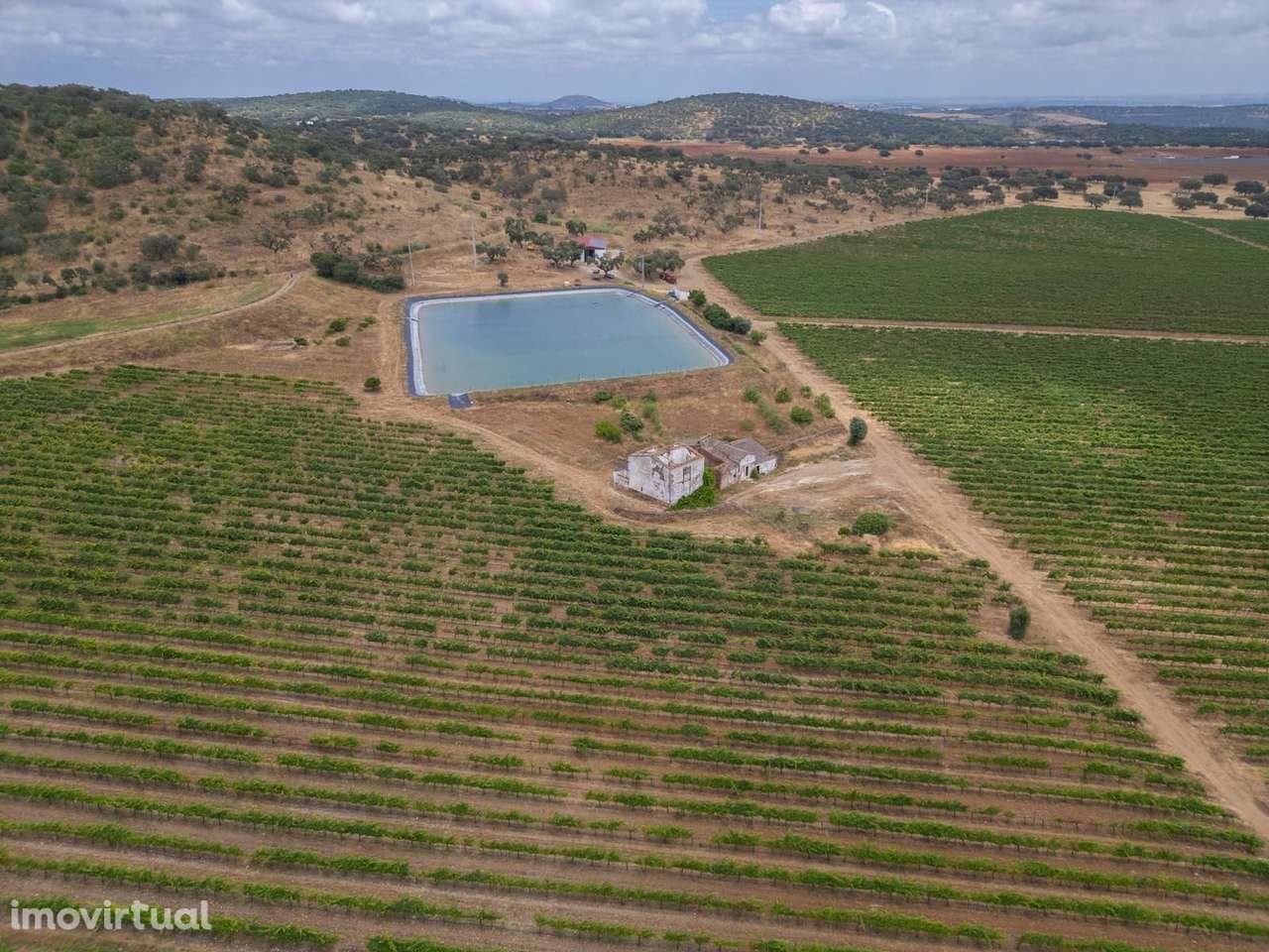 Terreno Misto 96.5 ha, Ciladas, Vila Viçosa - Grande imagem: 2/24