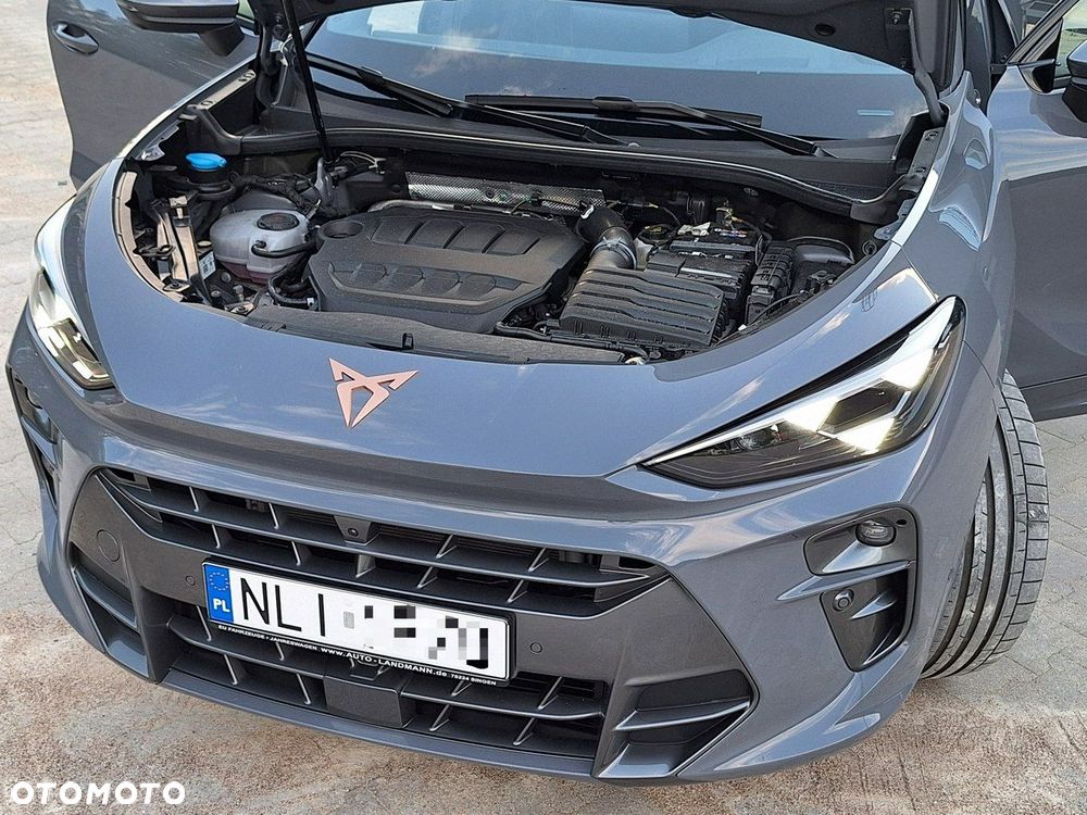 Cupra Terramar - 22