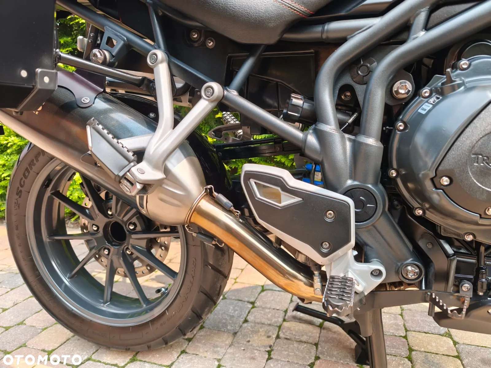 Triumph Tiger - 12