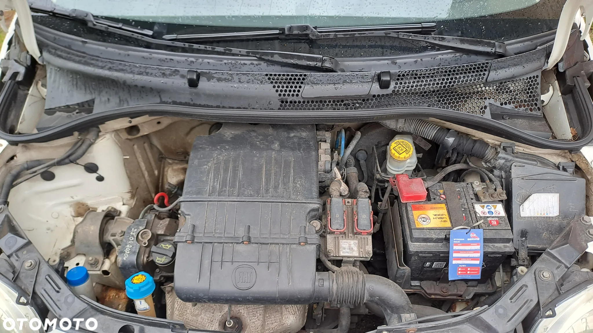 Fiat 500 1.2 8V Pop - 6