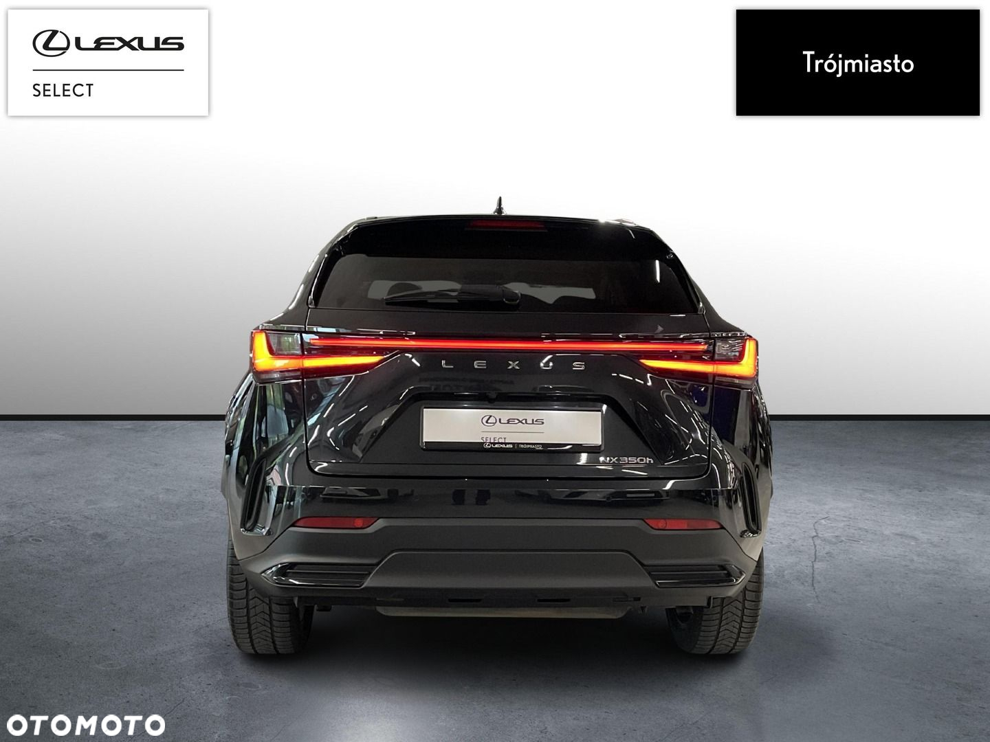 Lexus NX - 7
