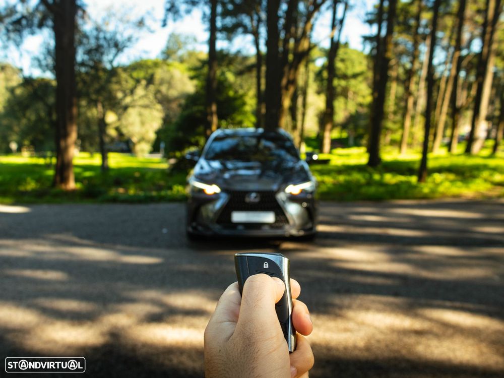 Lexus NX 350h Executive+ - 21