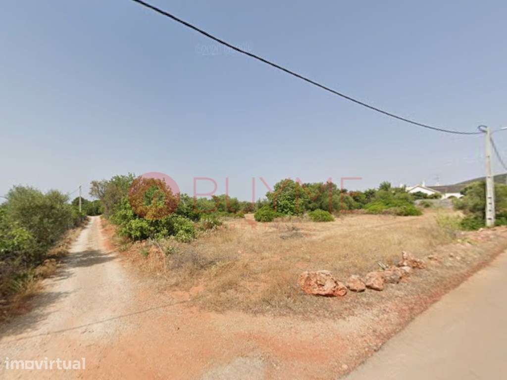 Terreno Amplo com Ruína em Santa Bárbara de Nexe - Grande imagem: 2/6
