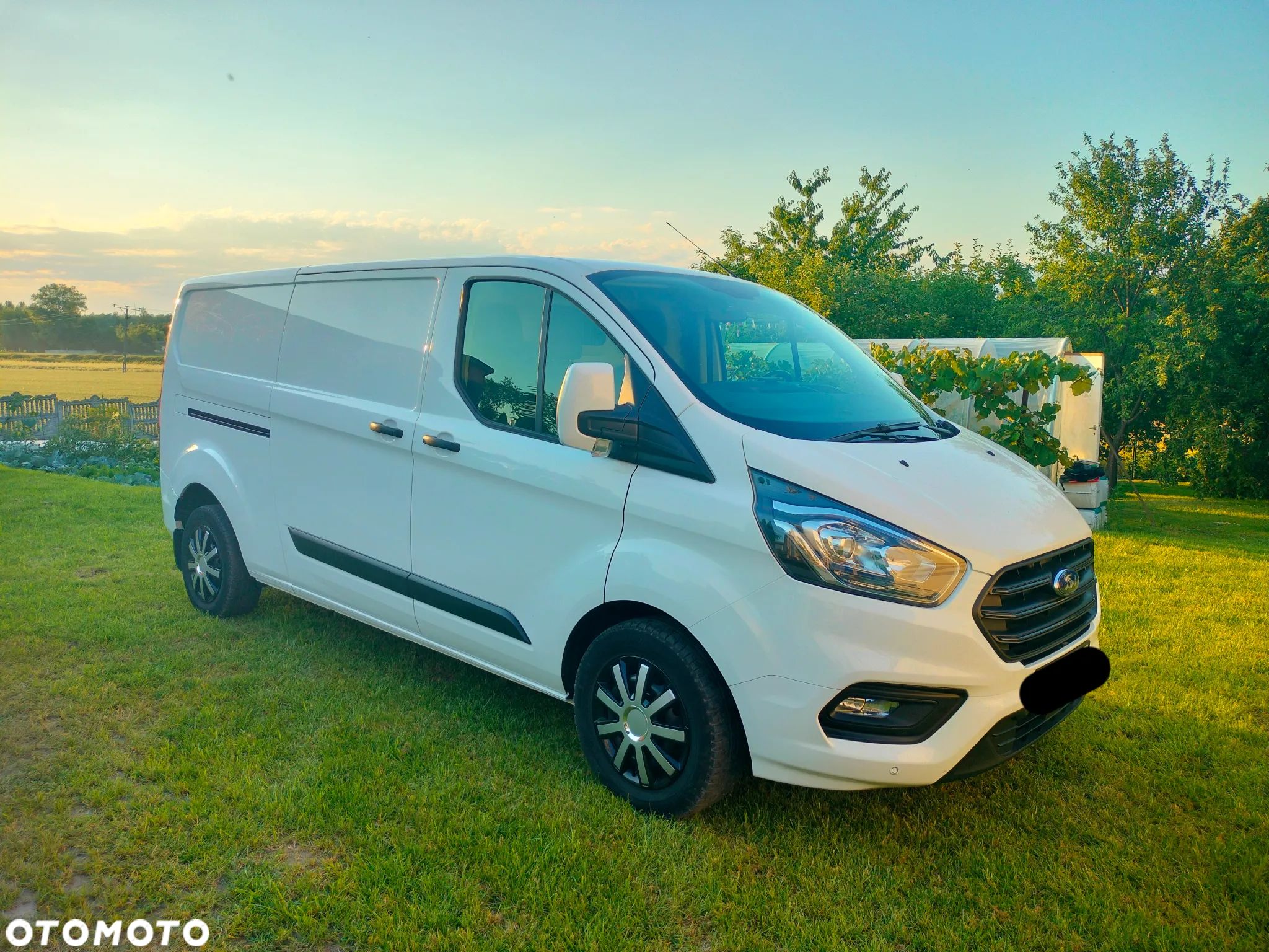 Ford transit custom - 1