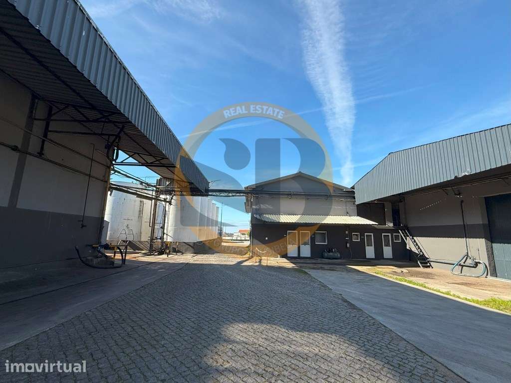Armazém Industrial em Estarreja! - Grande imagem: 4/8