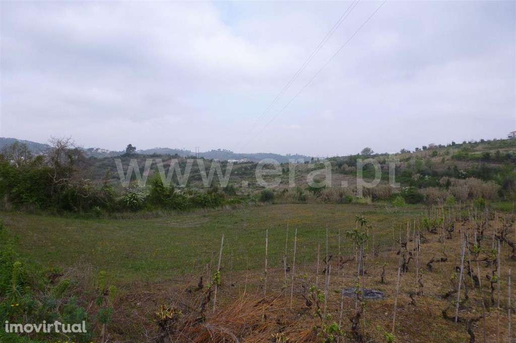 Terreno, Coimbra, Coimbra - Grande imagem: 2/2