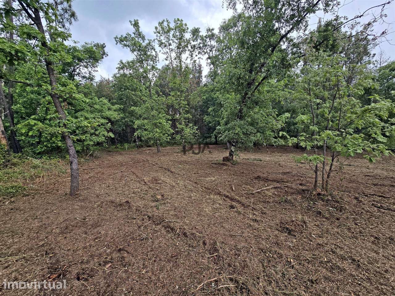 Lote de Terreno Industrial em Quintela de Azurara, Mangualde - Grande imagem: 3/9