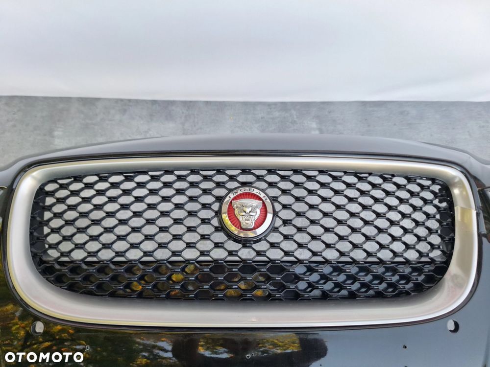 JAGUAR XE X760 R-SPORT 15-19 ORYGINAŁ GX73-8B271-BA ATRAPA GRILL W ZDERZAK PRZÓD WYSYŁKA 24H