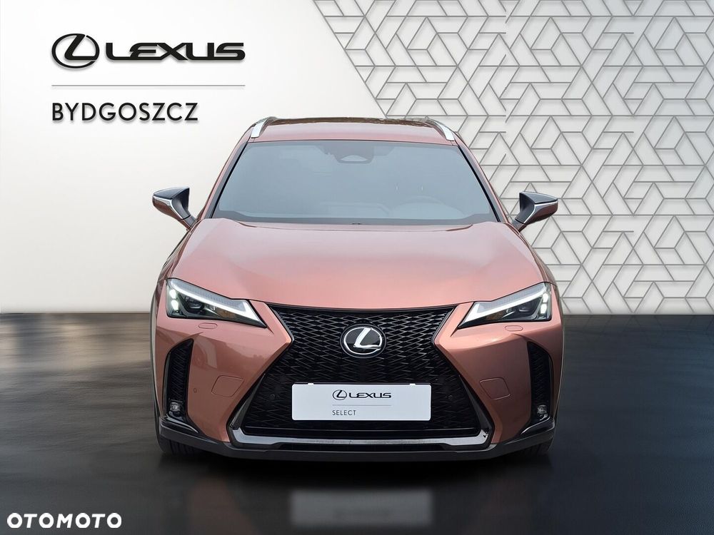 Lexus UX 300h F Sport Design - 9