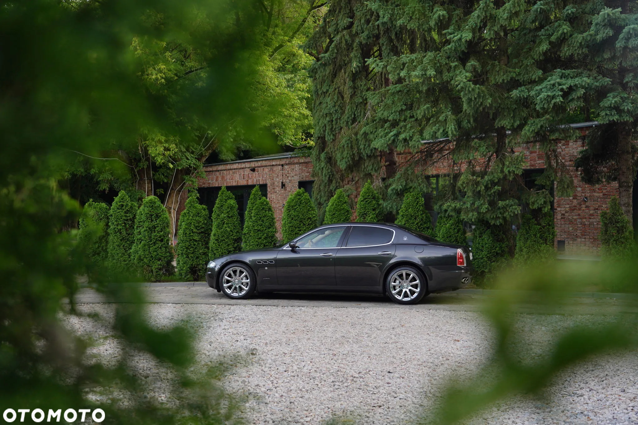 Maserati Quattroporte Automatic - 11