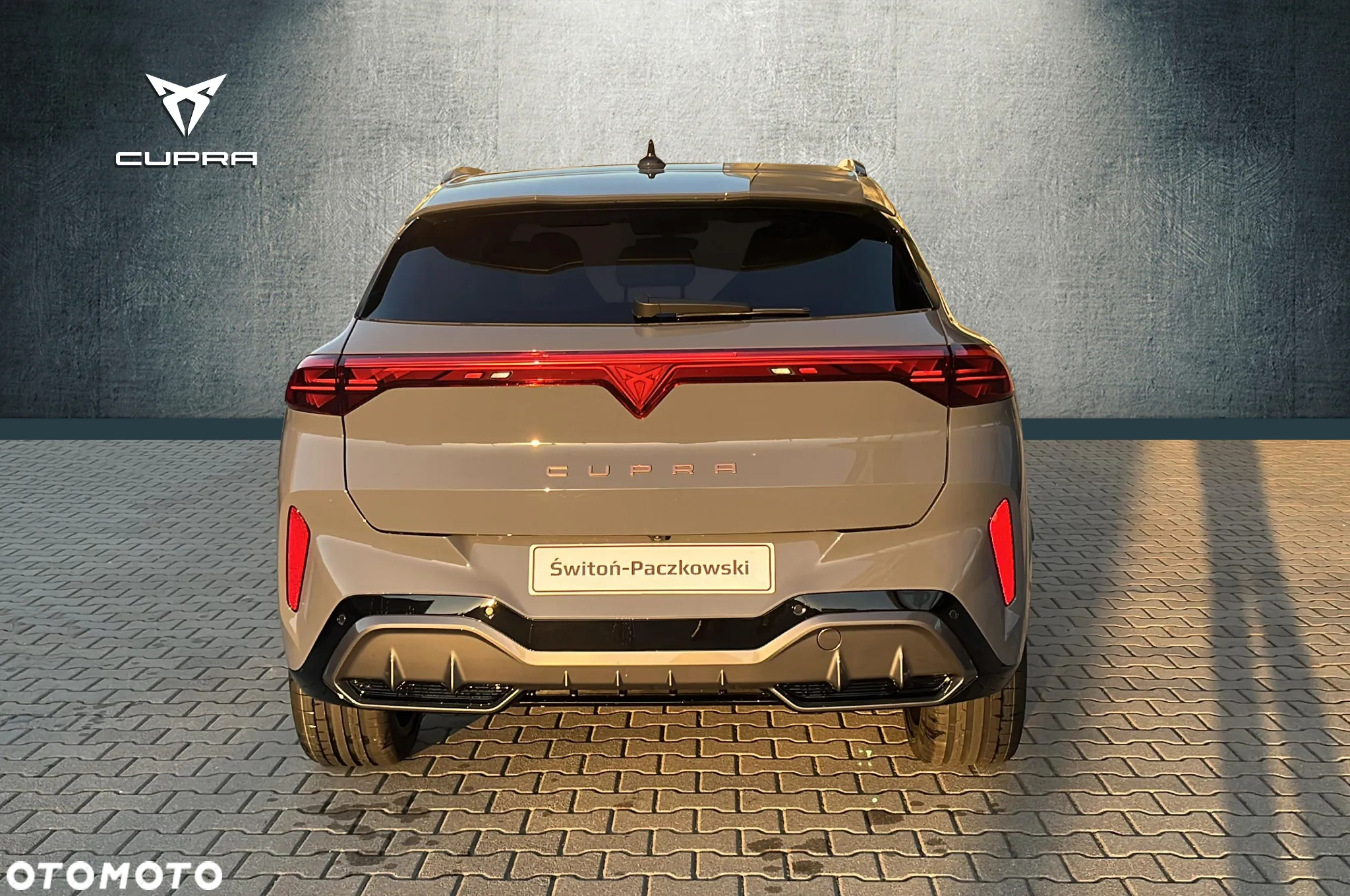 Cupra Terramar 2.0 TSI 4Drive DSG - 5