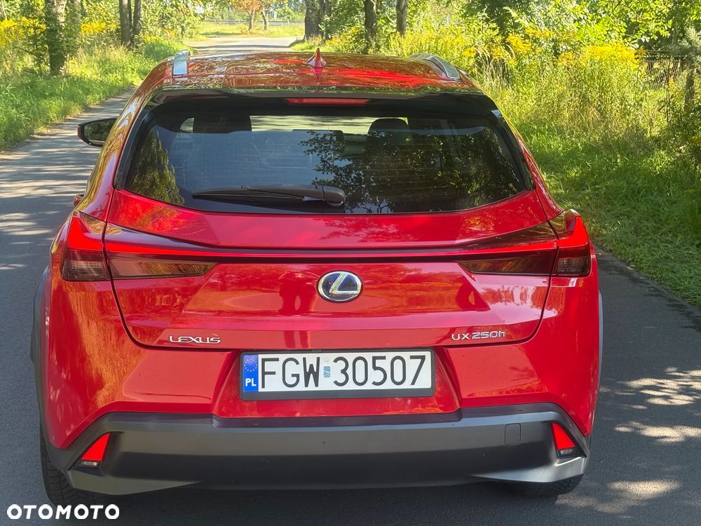 Lexus UX - 13