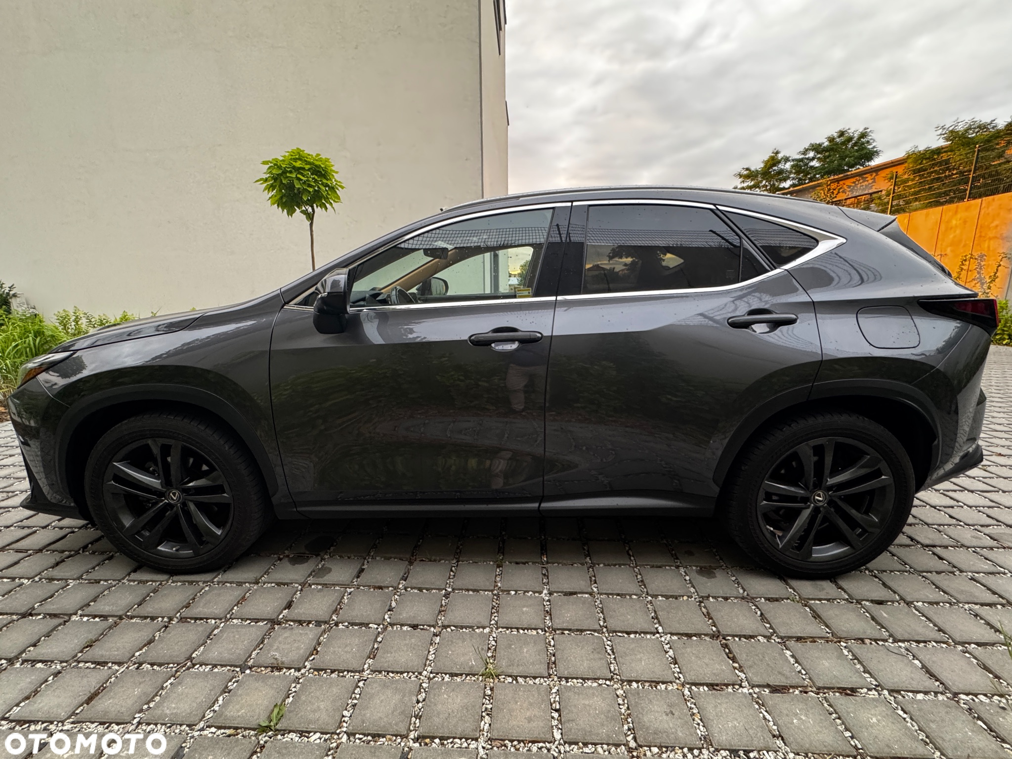 Lexus NX - 7