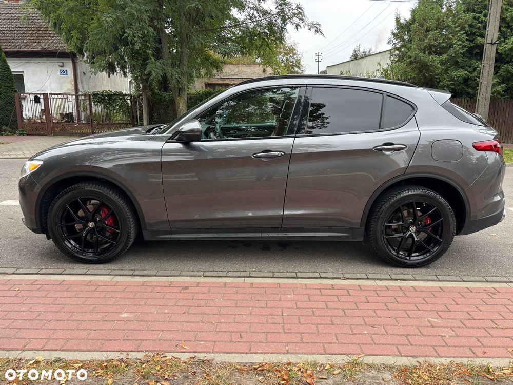 Alfa Romeo Stelvio 2.0 Turbo Super Q4 - 5