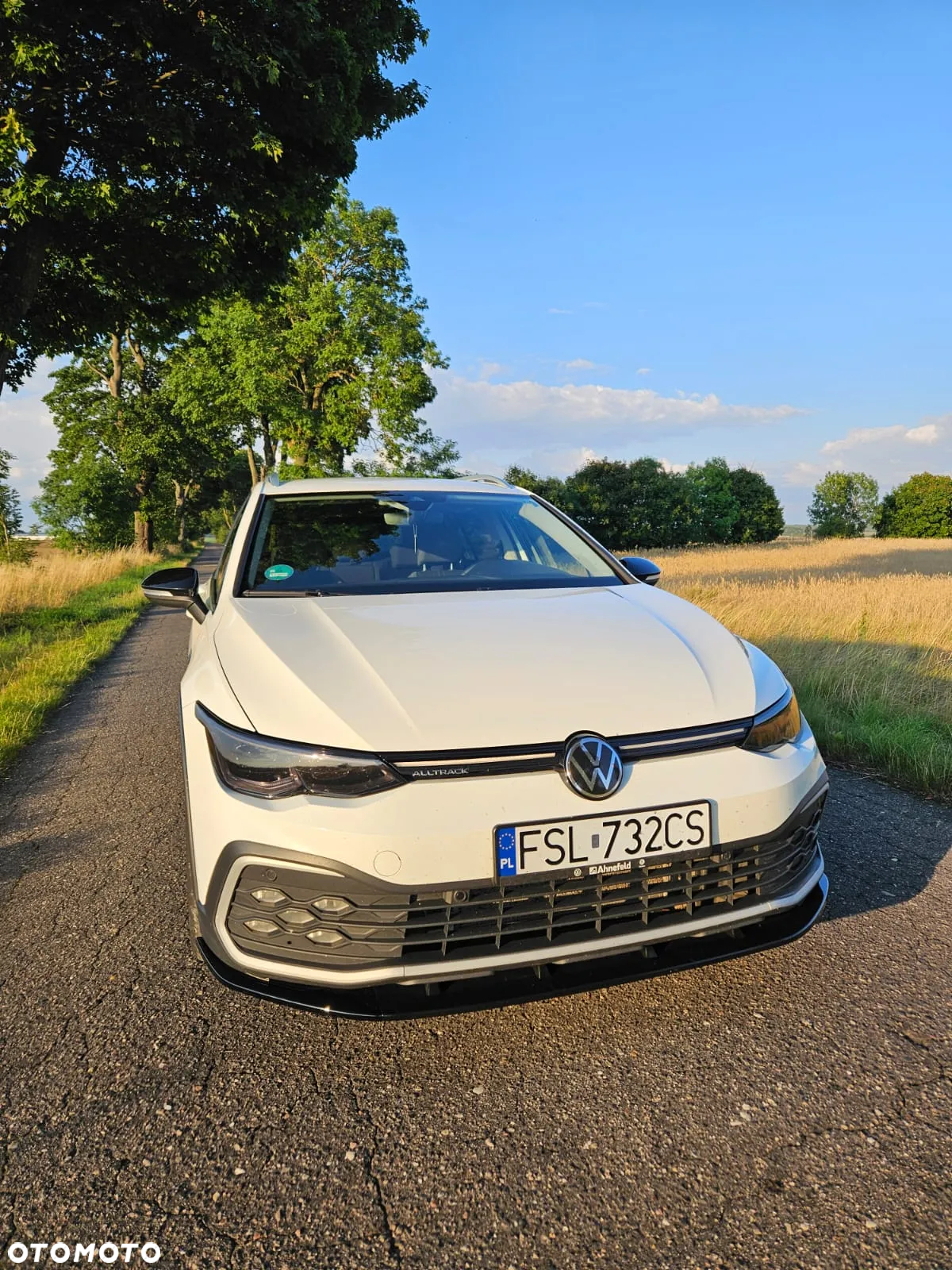 Volkswagen Golf Alltrack 2.0 TDI 4Mot DSG - 6