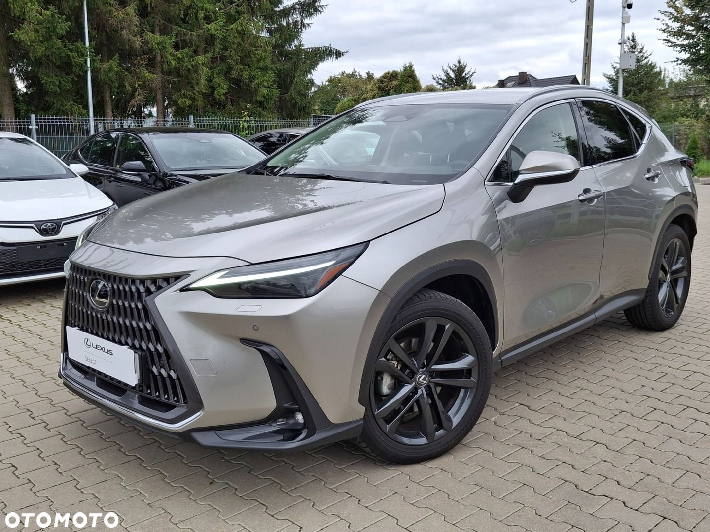 Lexus NX 350h Prestige AWD - 30
