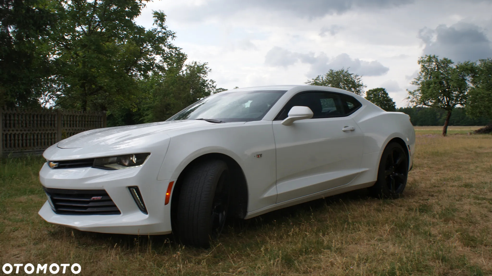 Chevrolet Camaro Coupe 2.0 - 7