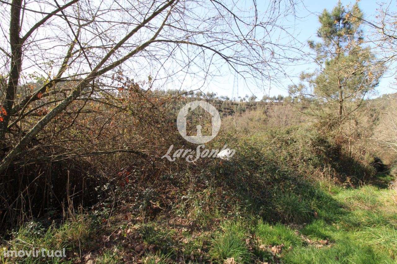 Terreno agrícola com 6.000m2 em Ribeirão - Vila Nova de Famalicão - Grande imagem: 3/4