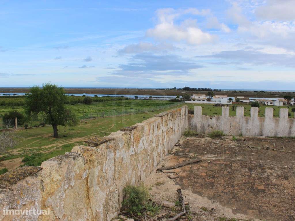 Quinta com terreno junto à Ria Formosa em Santa Luzia, Algarve - Grande imagem: 3/36