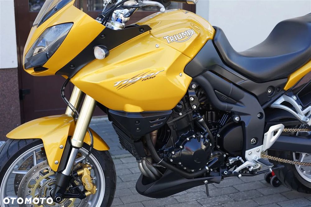 Triumph Tiger - 31