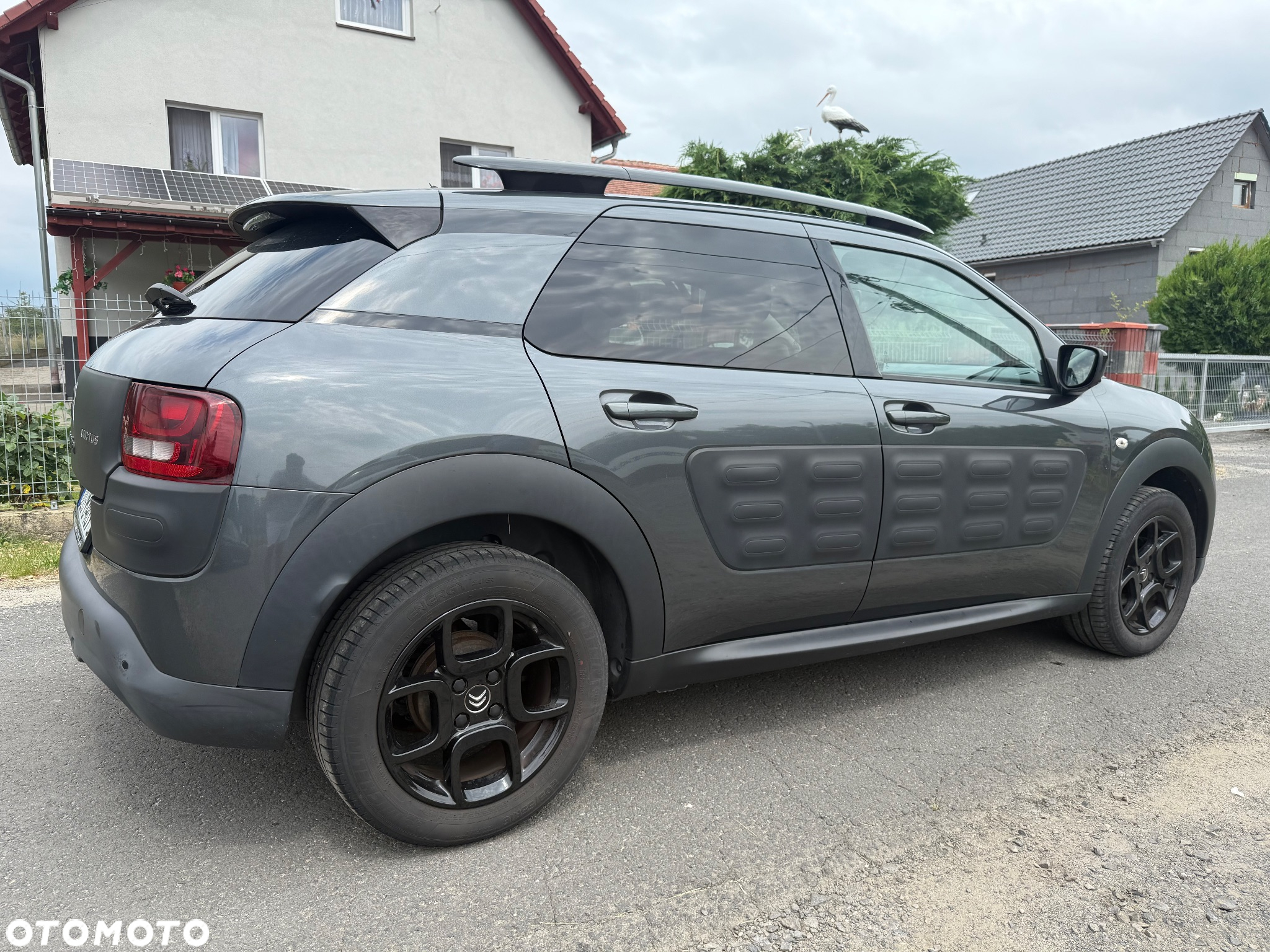 Citroën C4 Cactus 1.2 PureTech Shine Edition S&S ETG - 5