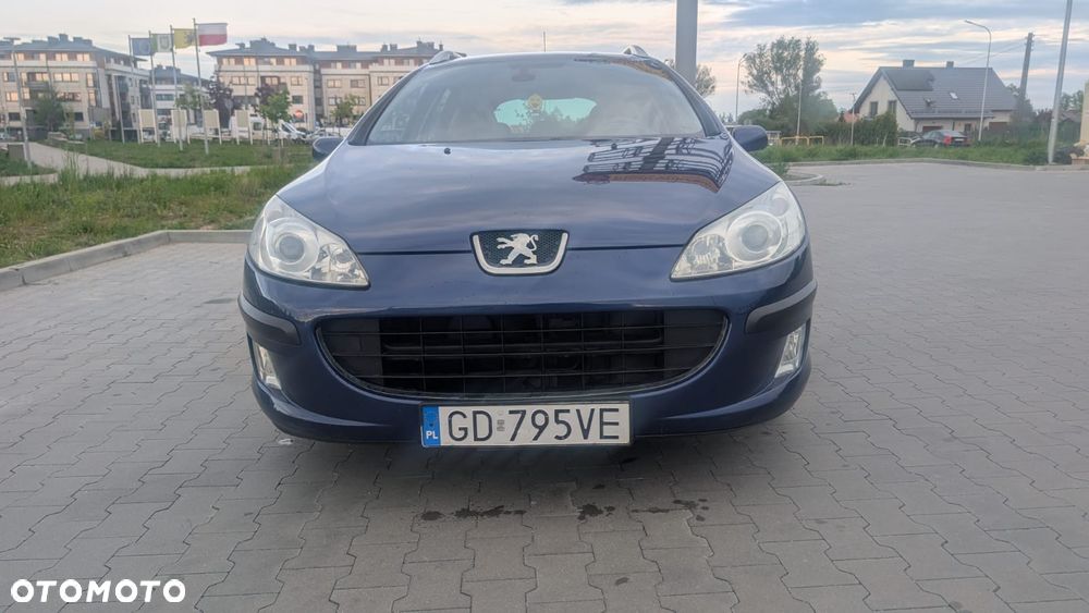 Peugeot 407 - 20
