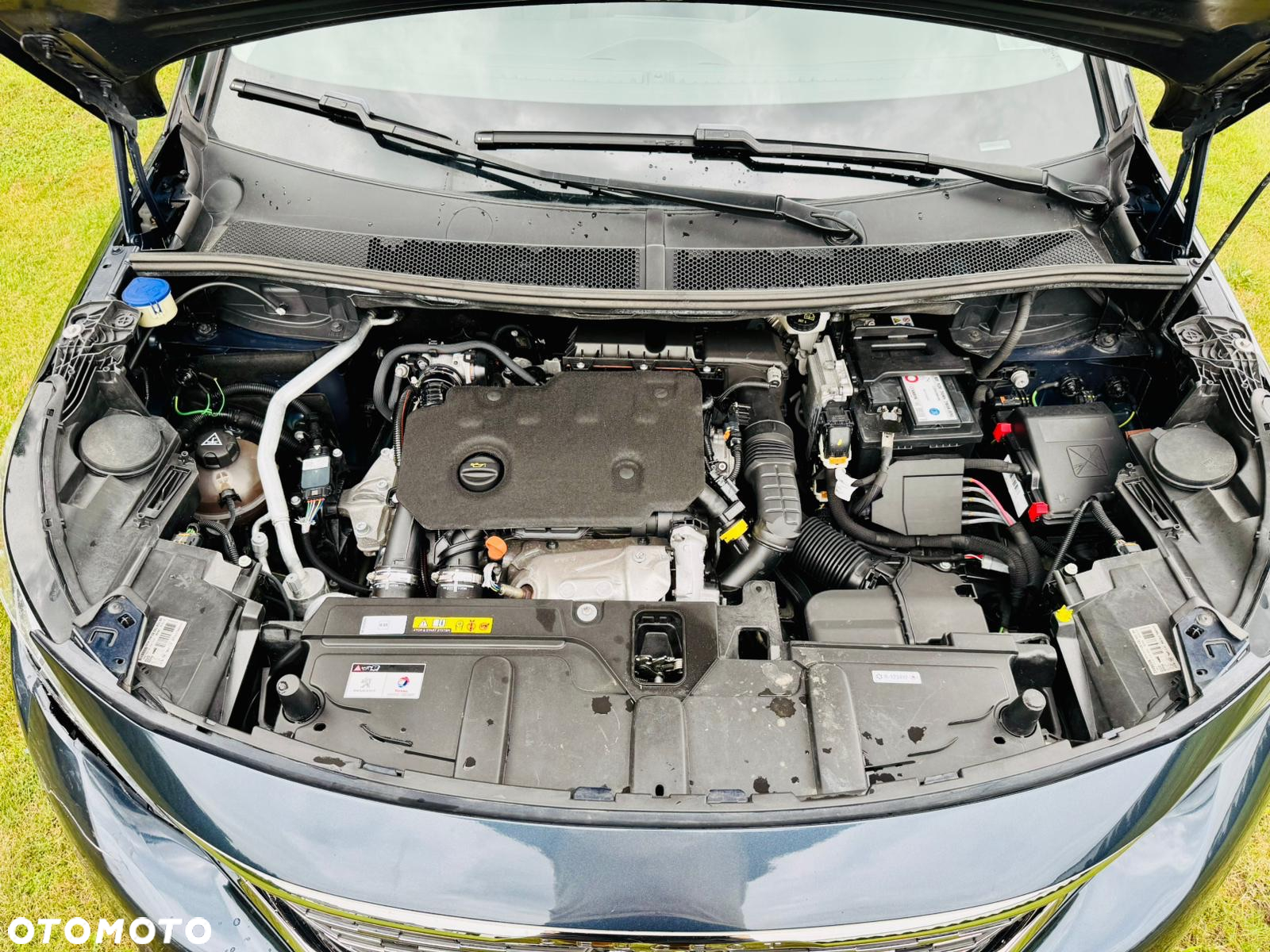 Peugeot 5008 1.5 BlueHDi Allure Pack S&S EAT8 - 19