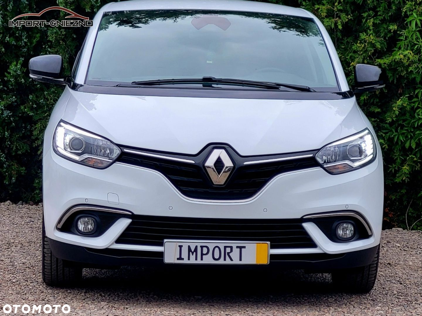 Renault Scenic - 10