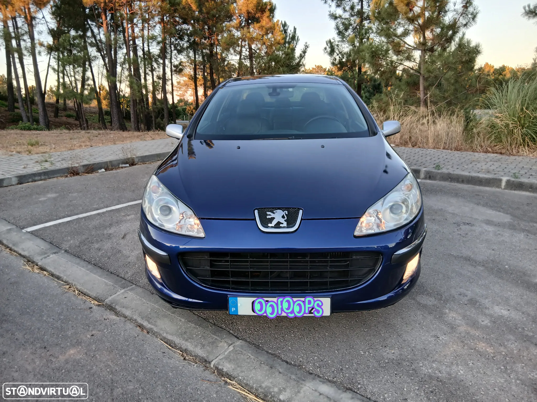 Peugeot 407 1.6 HDi Executive - 22