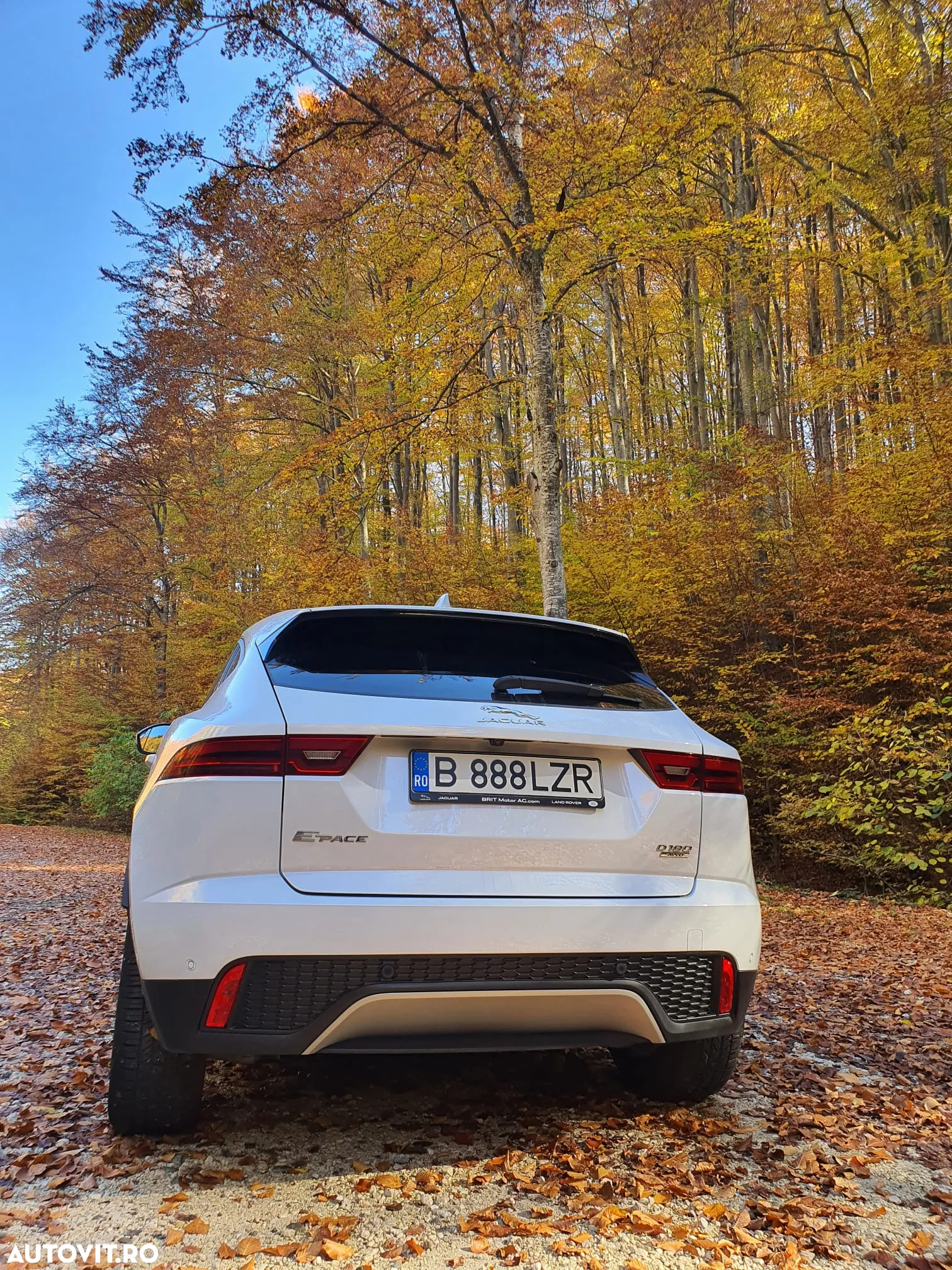 Jaguar E-Pace D180 AWD S - 5