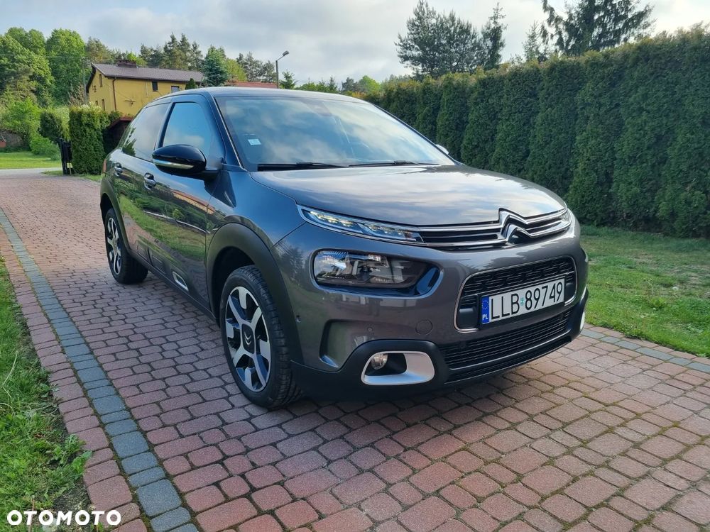 Citroën C4 Cactus 1.2 PureTech GPF Shine S&S - 17