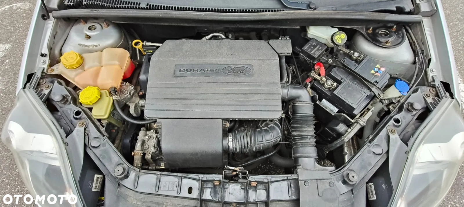 Ford Fiesta 1.3 Ambiente - 14