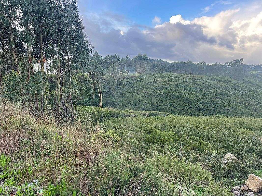 Terreno  para venda - Grande imagem: 5/10