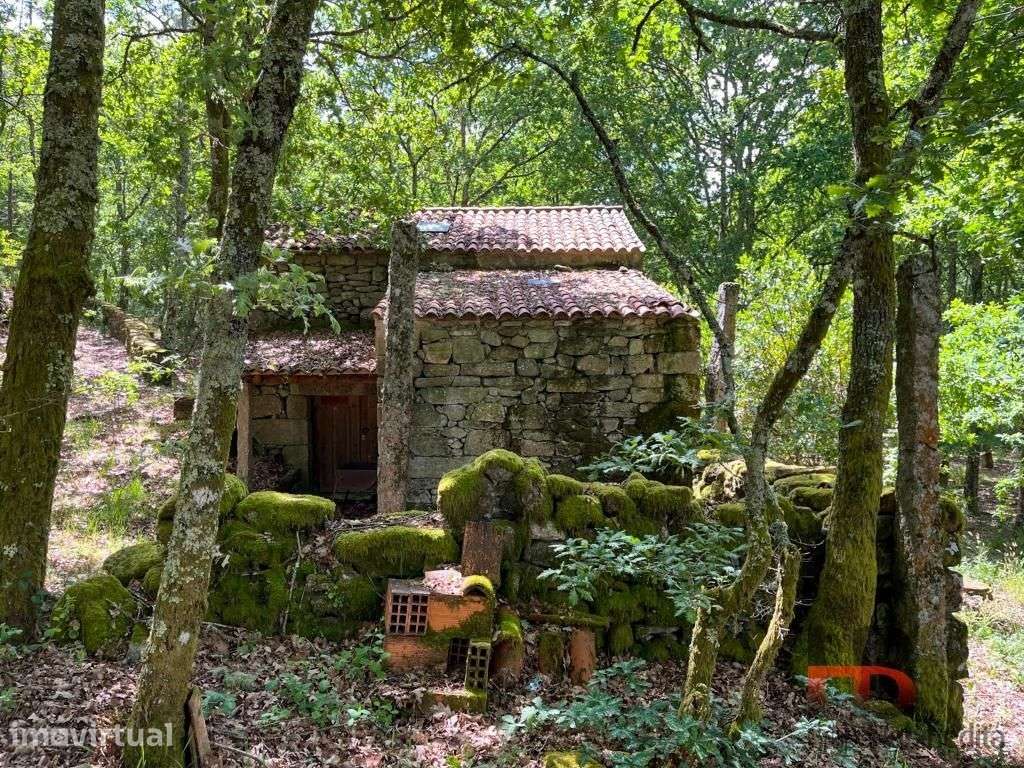 Quintinha T2 Venda em Cambra e Carvalhal de Vermilhas,Vouzela - Grande imagem: 3/33