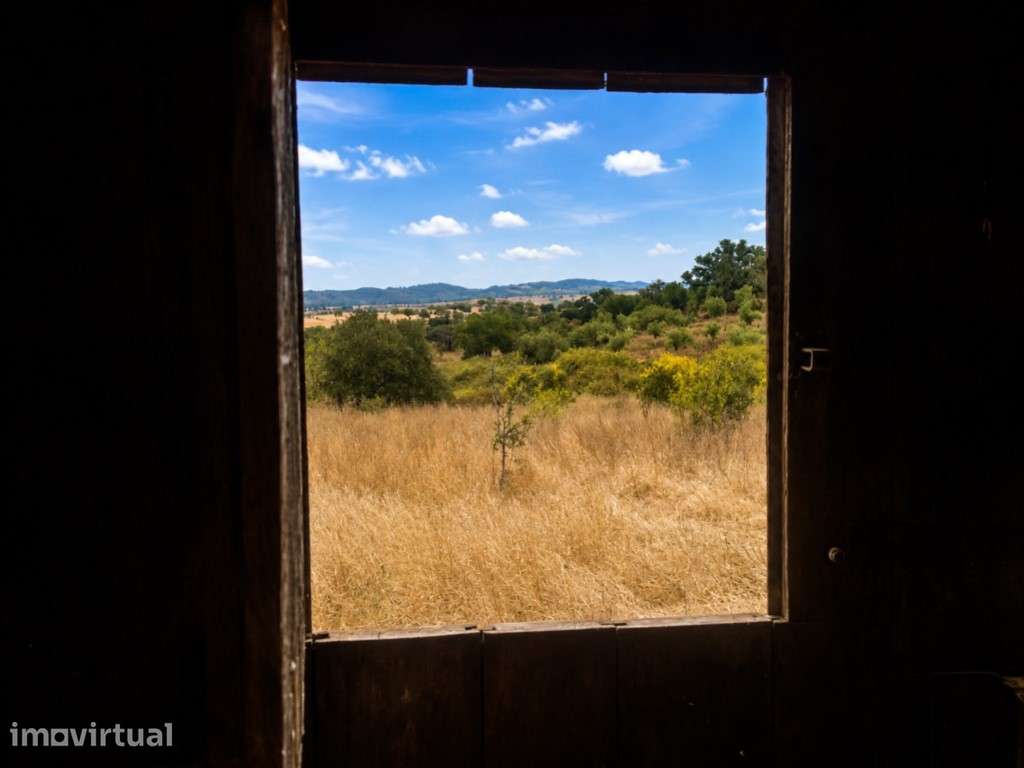 Quinta de 8 Hectares com Casa em Grândola - Grande imagem: 2/8