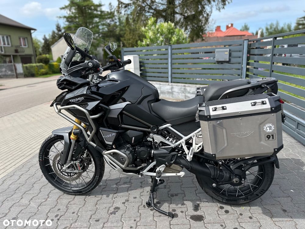 Triumph Tiger - 19