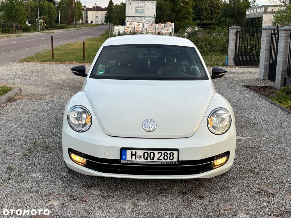 Volkswagen Beetle - 3