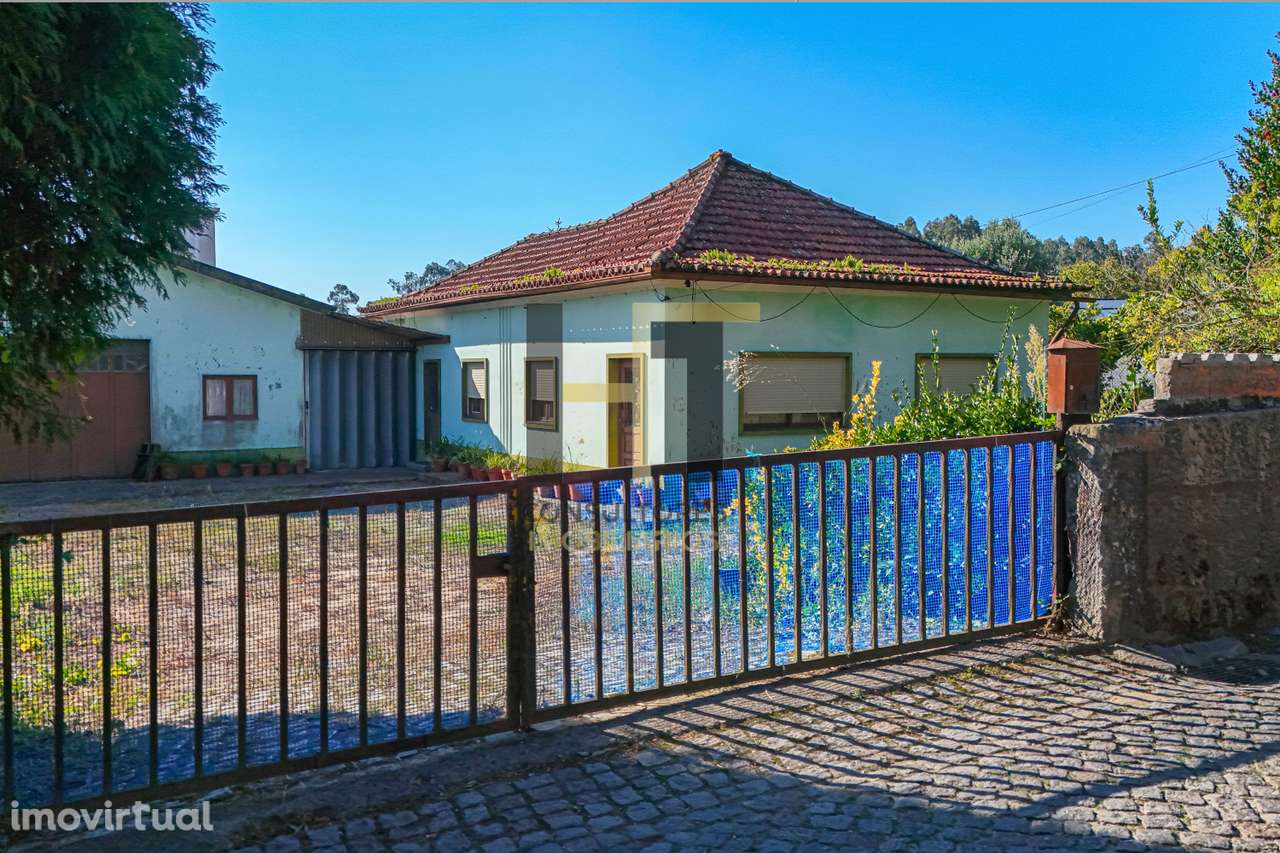 Moradia Térrea T3 com Terreno de 1500m² para Renovar – São Pedro - Grande imagem: 2/16