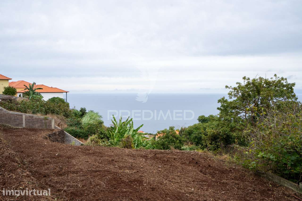Terreno Rústico 1.250m2 em Gaula - Grande imagem: 3/7