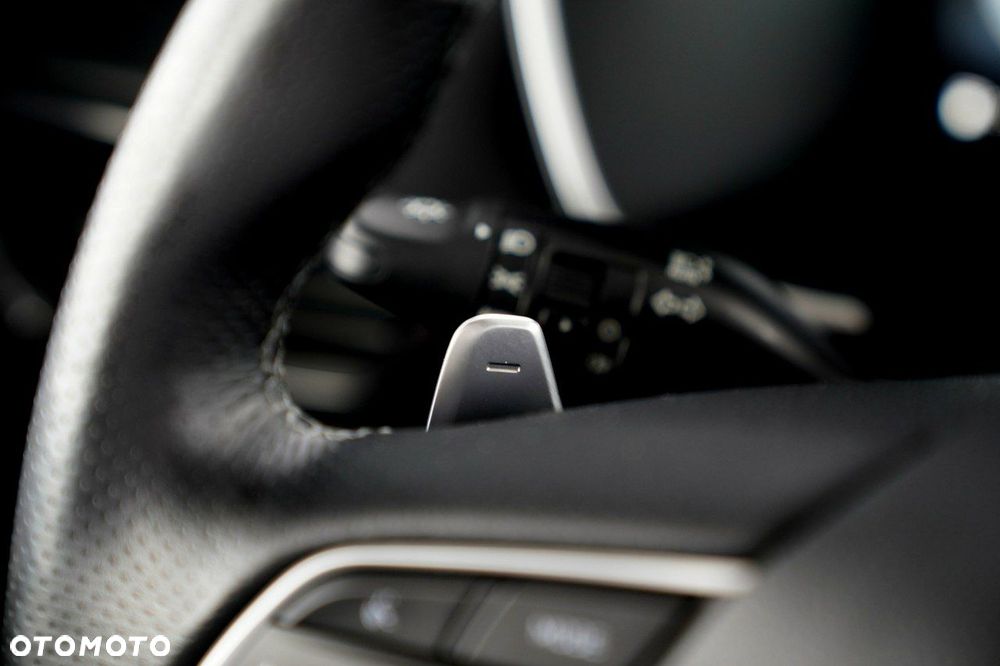 Hyundai Santa Fe - 40