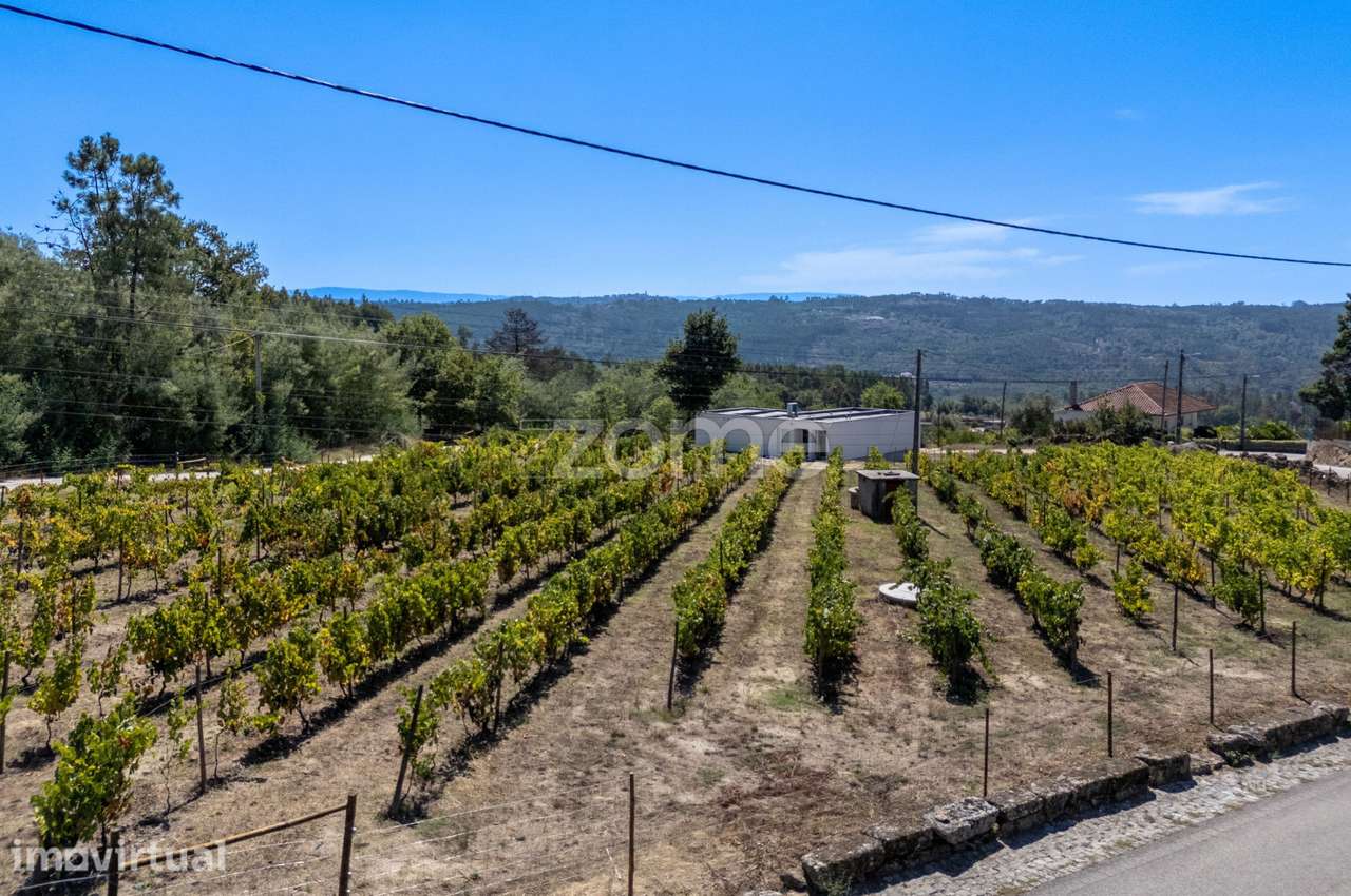 Casa T3 com piscina e vinha em Penalva do Castelo - Grande imagem: 4/33