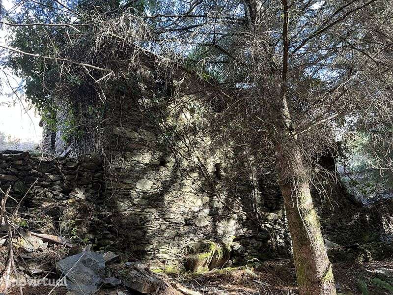 Quinta com 5hec - Serra da Lousã - Grande imagem: 3/11