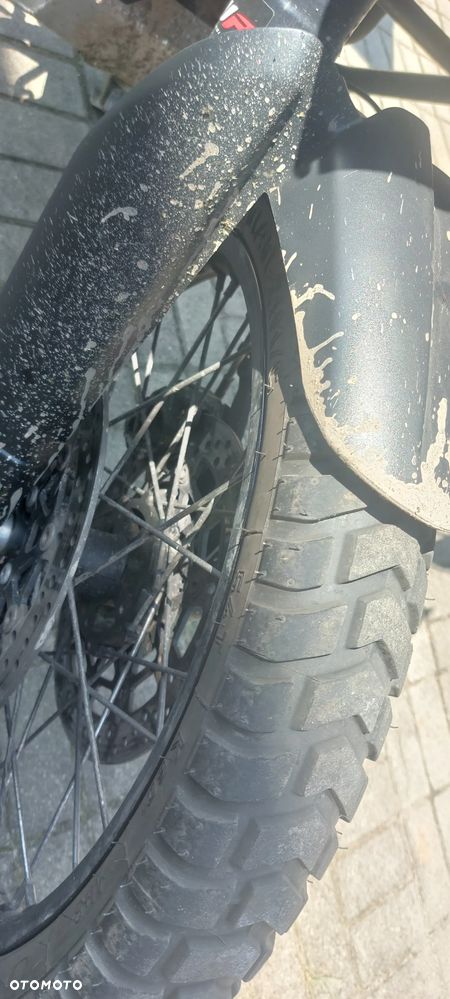 Triumph Tiger - 11