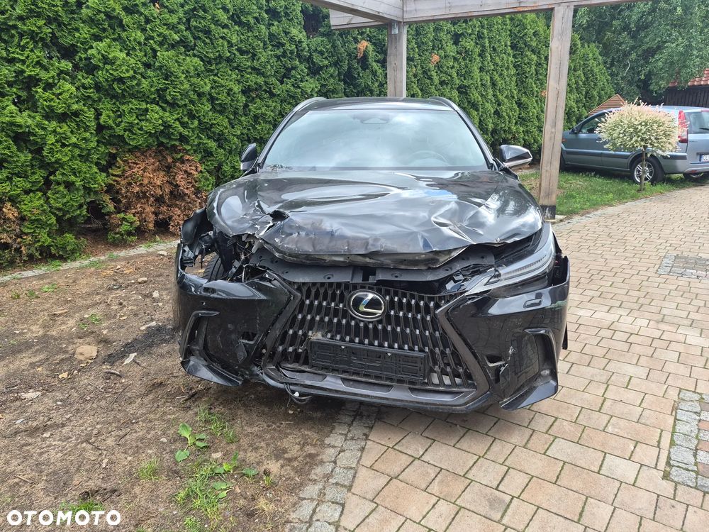 Lexus NX 350h Omotenashi AWD - 4