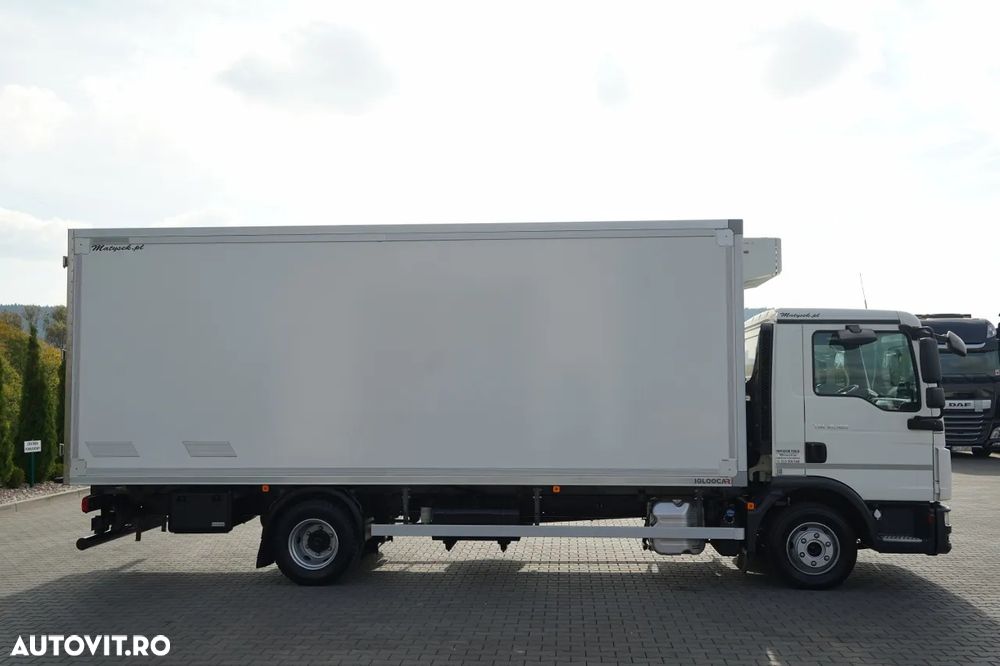MAN TGL 10.180 / 4x2 / CAMION FRIGORIFIC - 6,1 m / THERMO KING V 500 MAX / EURO 6 - 7