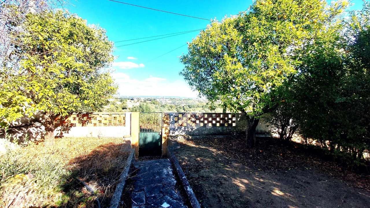 Quinta com 14.590m2, Moradia, Casa do Caseiro e Estruturas Agrícolas e - Grande imagem: 5/59