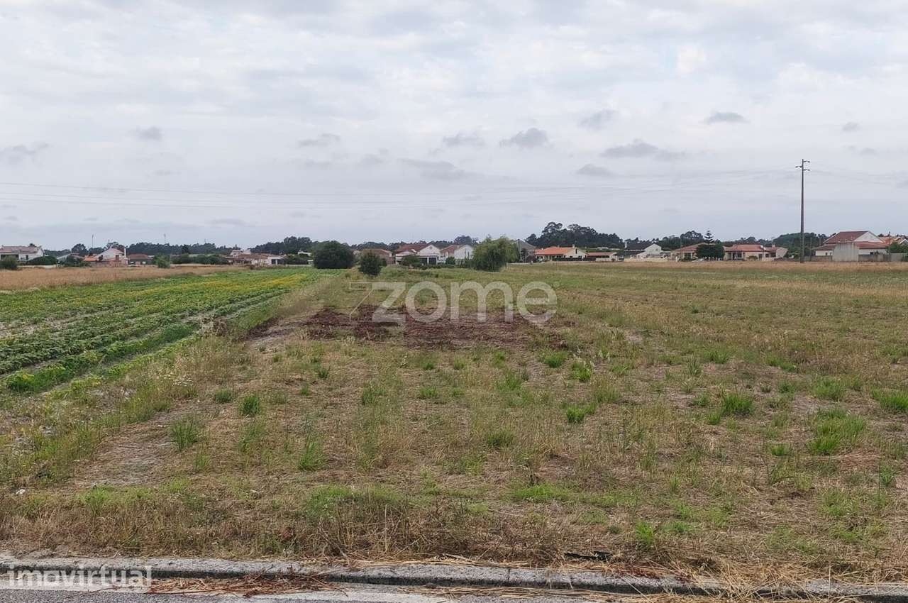 Terreno Urbano com 2.500 m² em Lombomeão – Vagos - Grande imagem: 5/8