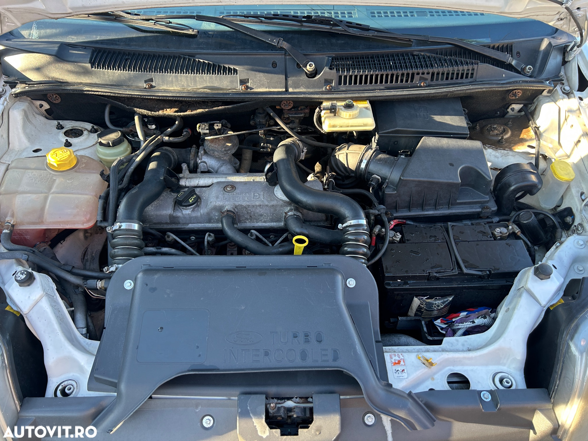 Ford Transit Connect - 5